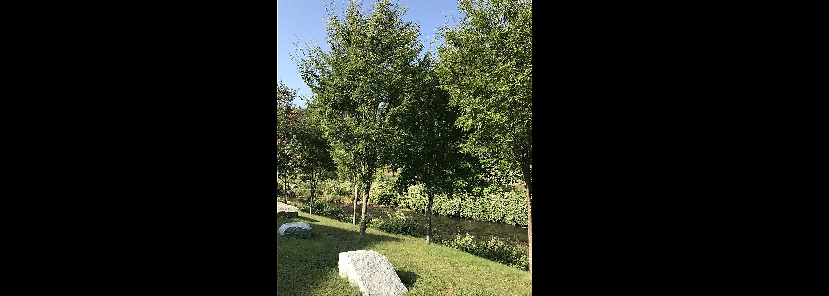 Lush green outdoor area with elegant trees and a calming stream under a clear blue sky, perfect for serene living.