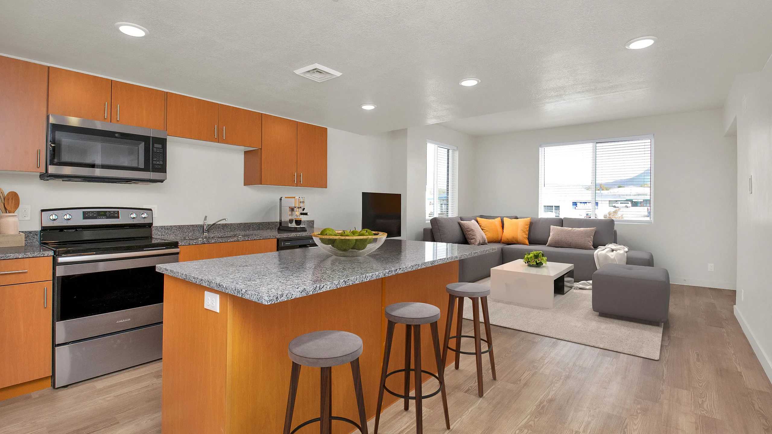 Living/Dining/Kitchen
