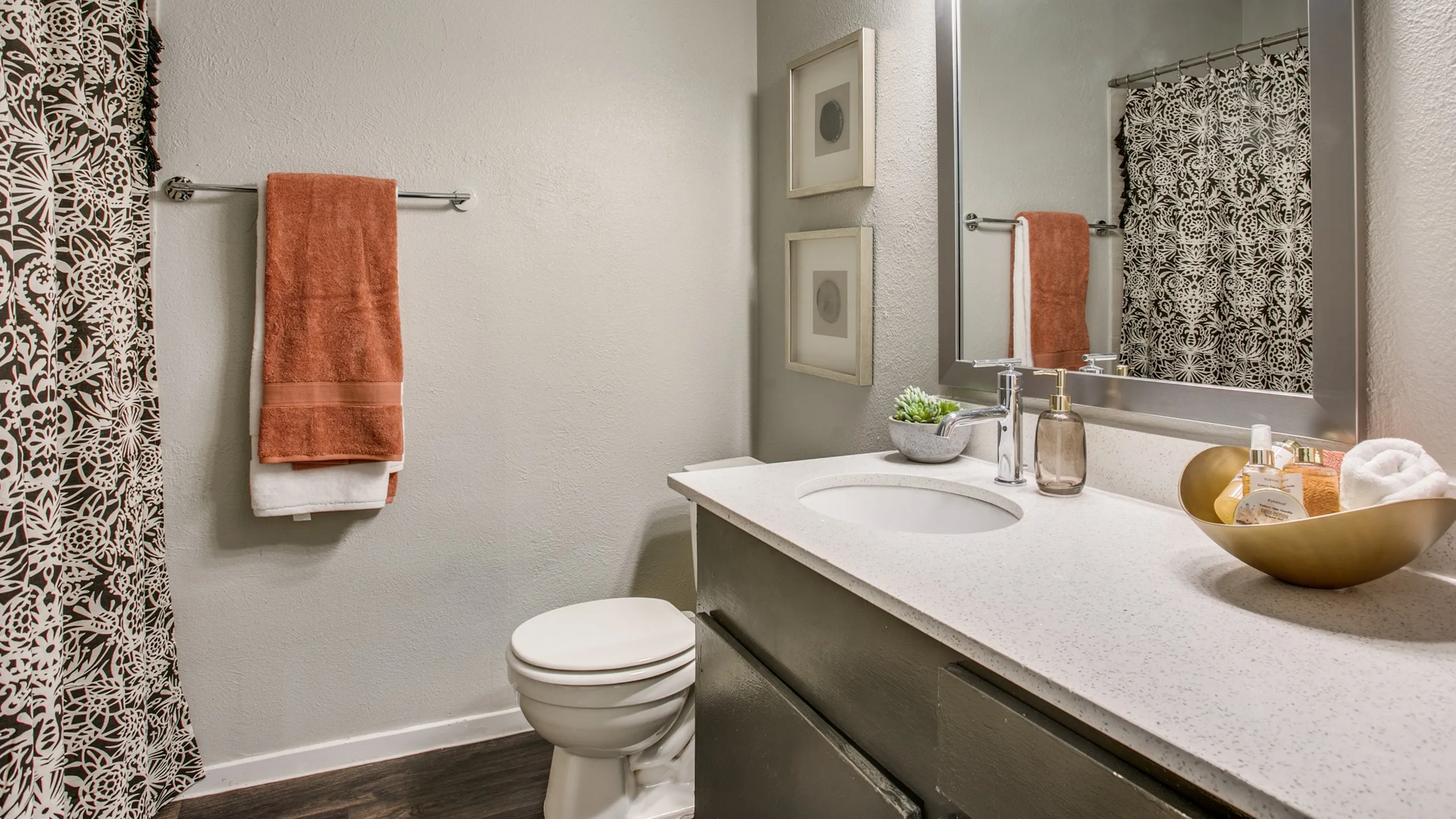 saginaw tx apartment bathroom