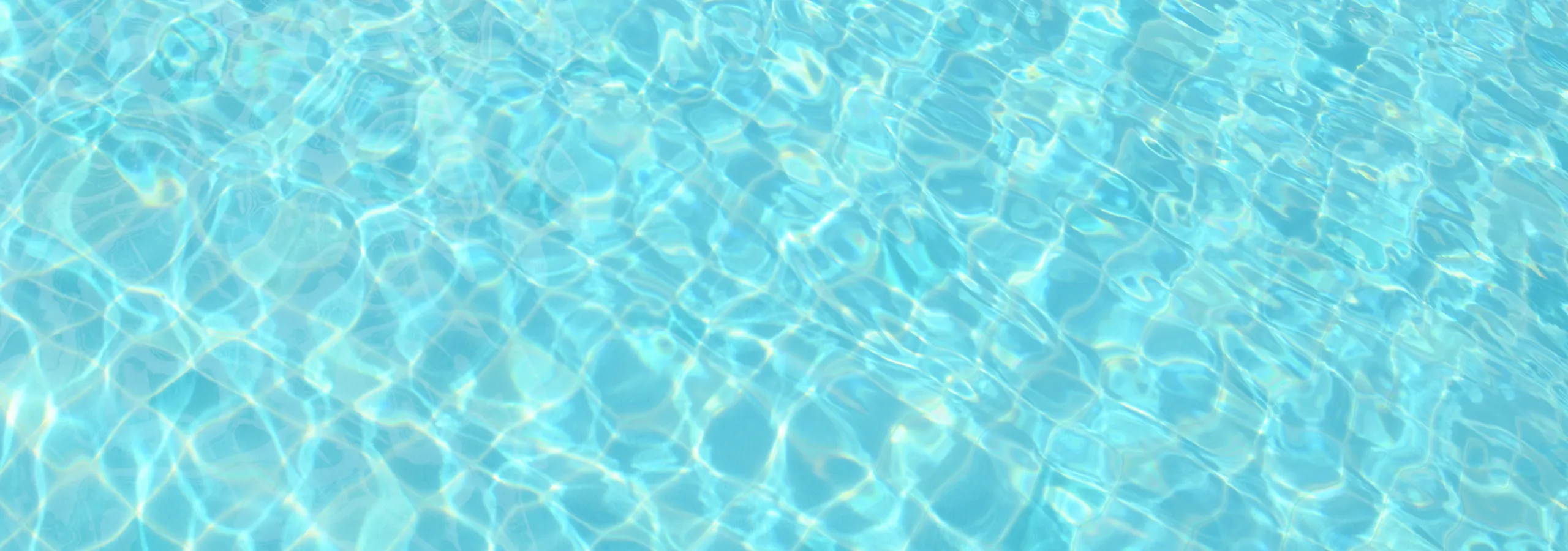 zander park pool