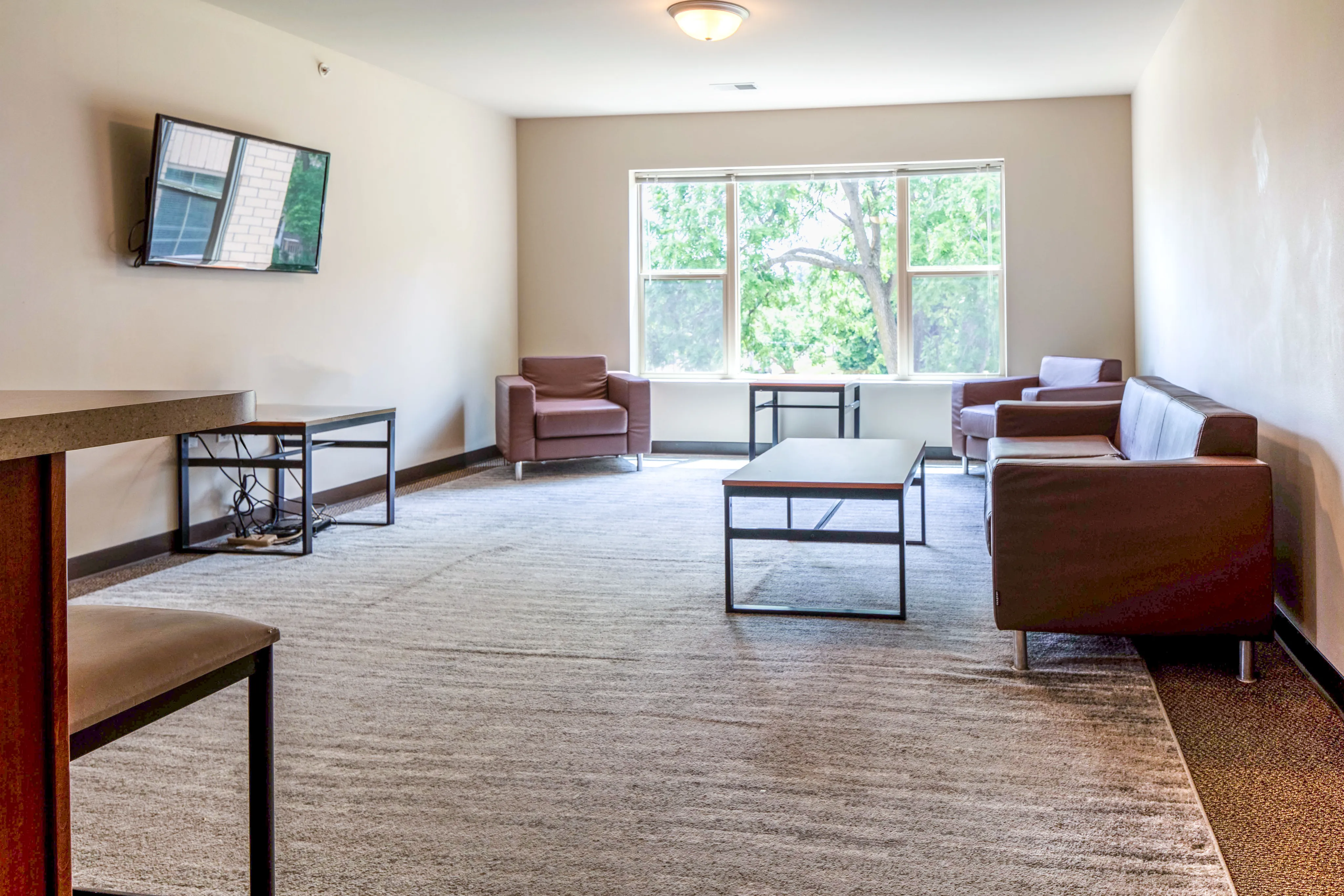 Inviting living room with stylish brown sofas facing a mounted TV, surrounded by natural light from a large window with a serene view.