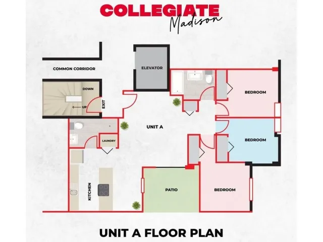 3 Bedroom 2 Bath Apartment - Style A