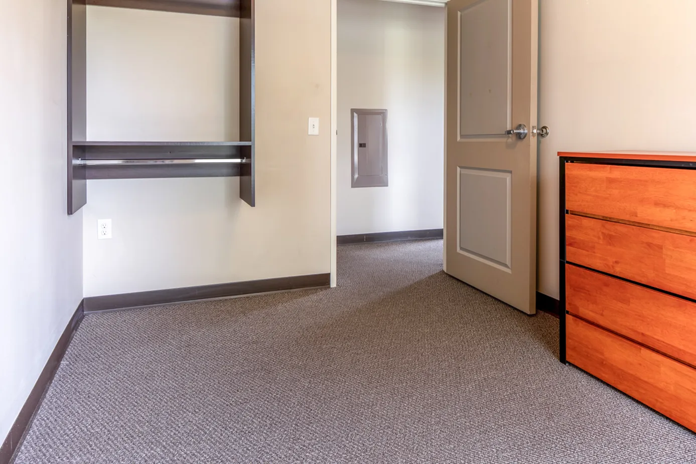 Bright room featuring a sleek open closet, modern gray door, and a stylish wooden dresser on carpeted floor.