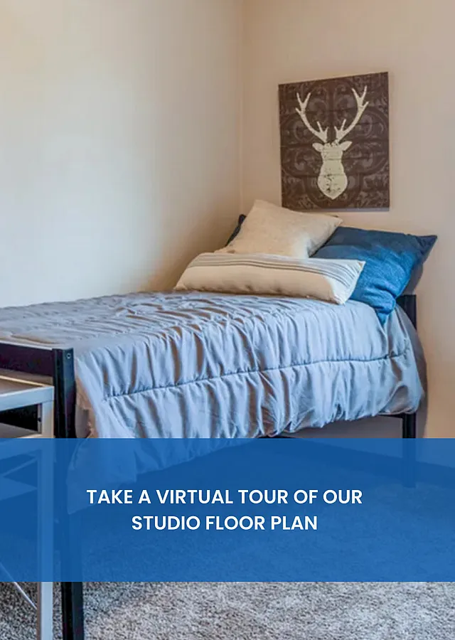 Cozy studio bedroom featuring a stylish bed with plush pillows and elegant wall art.