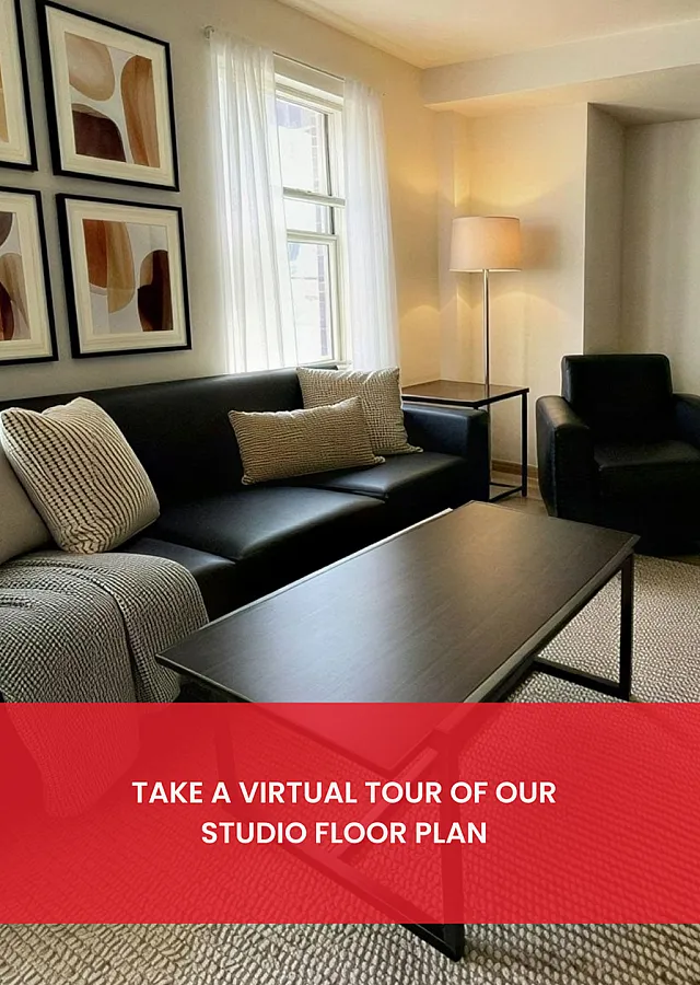 Cozy studio living room featuring modern decor, plush sofa, and bright natural lighting inviting relaxation and comfort.