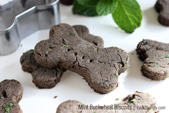 Healthy Treats to Bake for your Dog-image