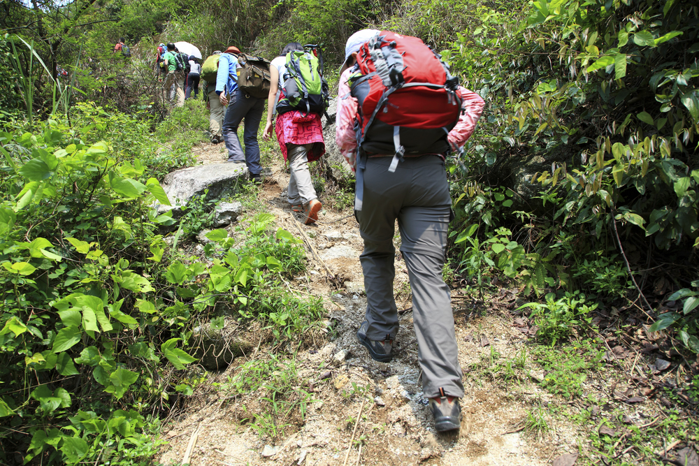 Best Hiking Trails around Ahwatukee-image