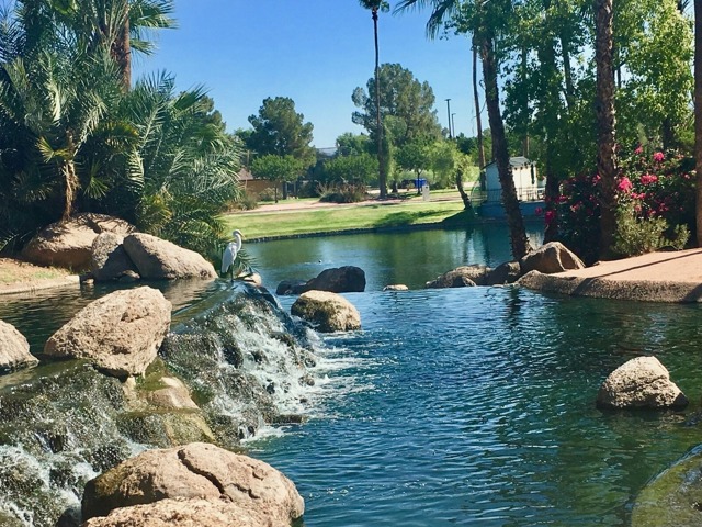 Freestone Park | Gilbert Apartments