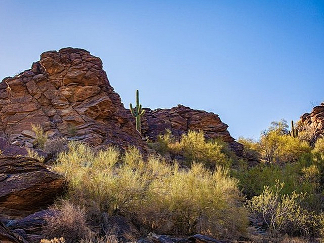 Beautiful desert landscape with rugged rock formations and iconic saguaro cactus under a clear blue sky.