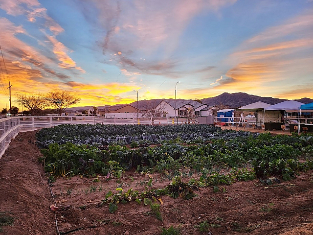 Charming rural landscape with vibrant garden rows, set against a breathtaking sunset and mountainous backdrop.