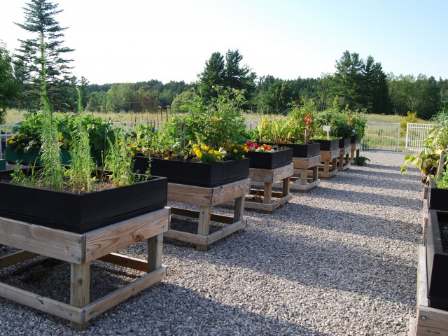 Image of Community Garden & Composting for Liv Arbors