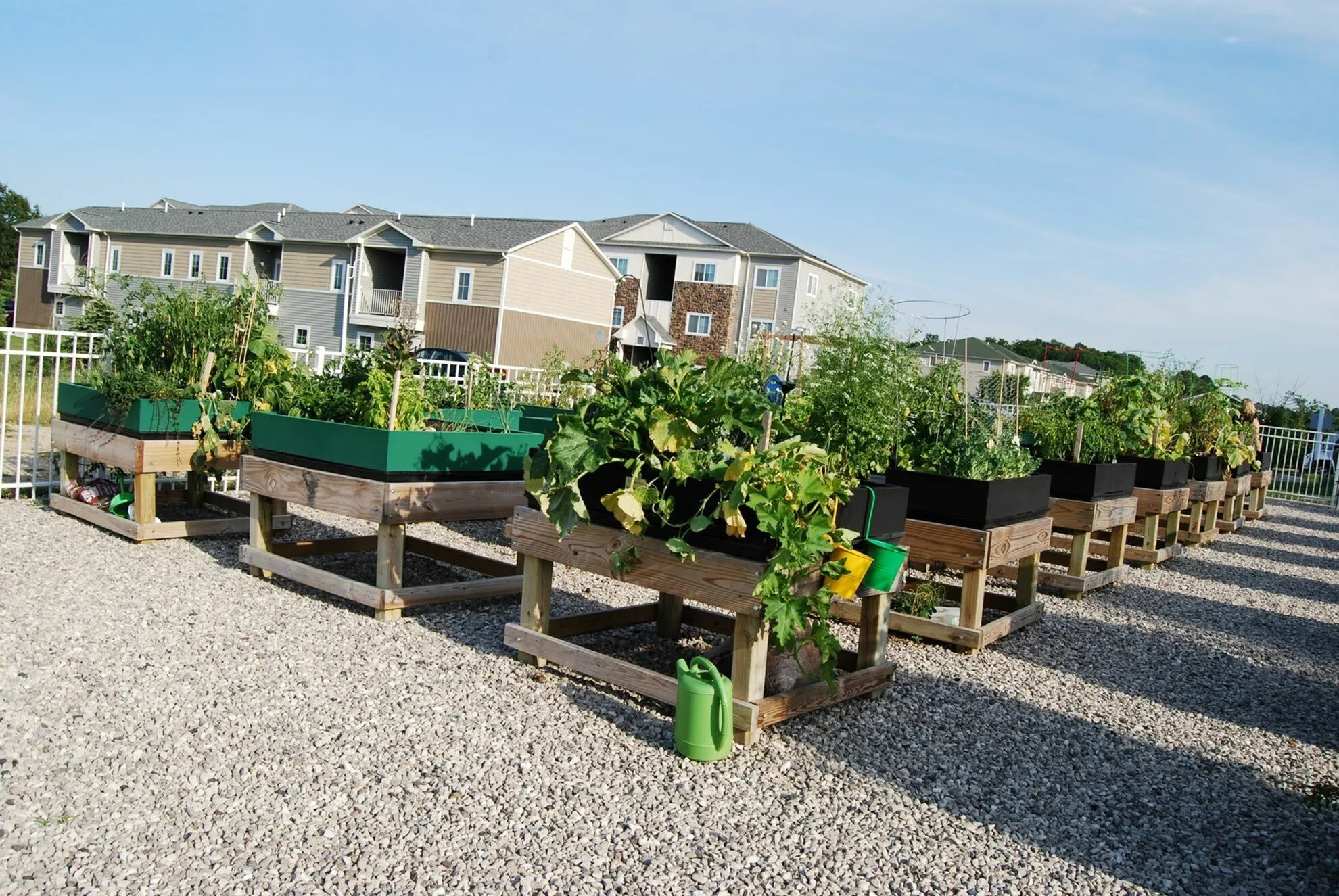 Community Garden