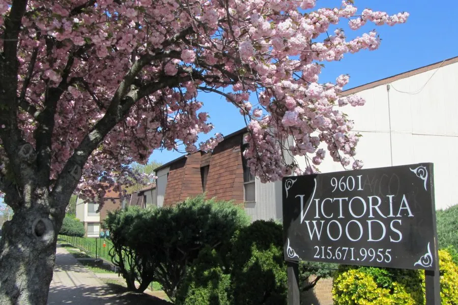 Victoria Woods