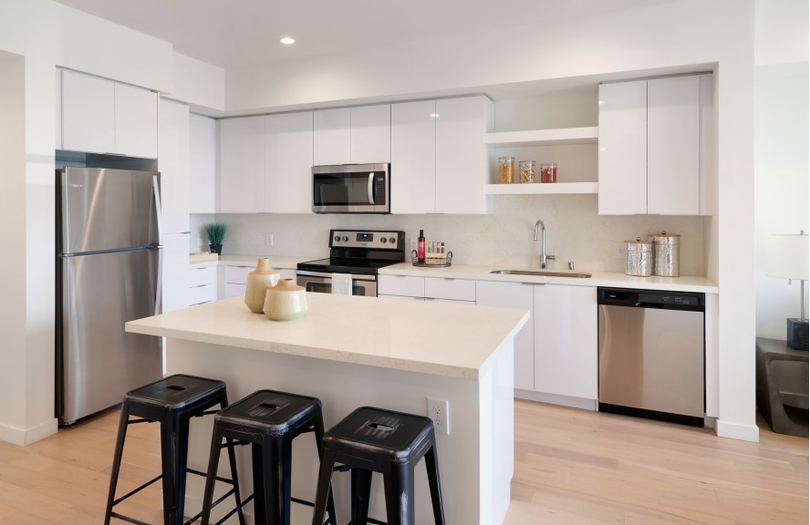 Modern Kitchen