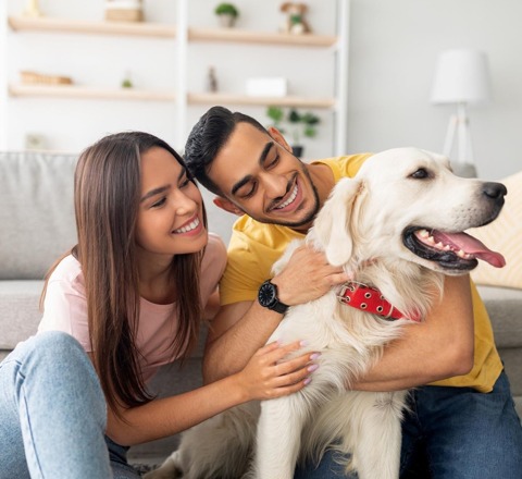 Man and woman with a happy golden retriever in front of a couch