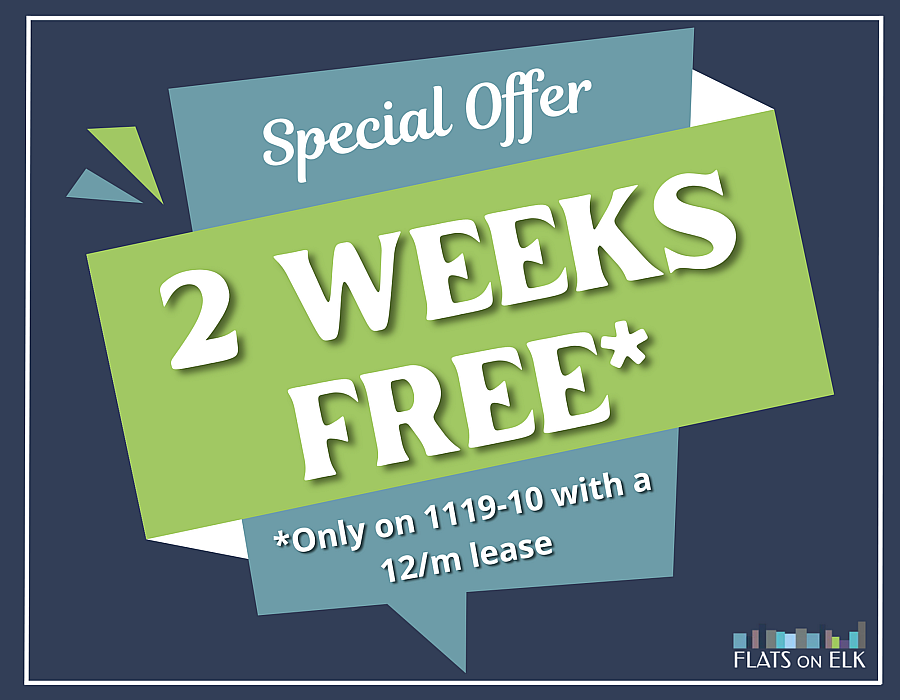 Special Offer!