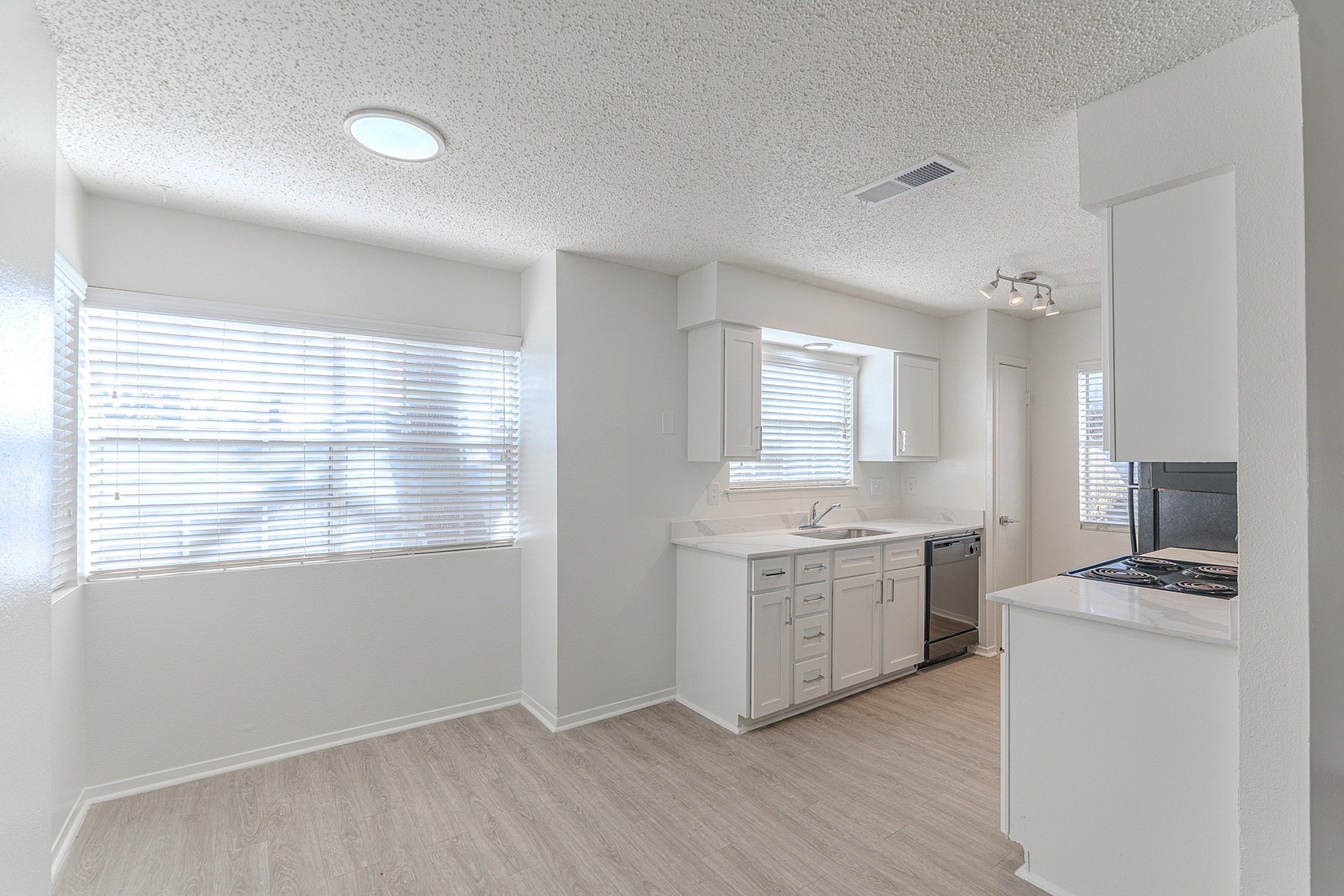 Renovated Kitchen