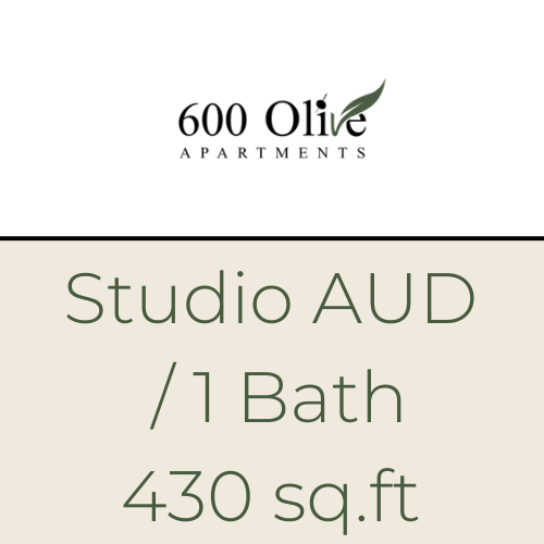Studio ADU