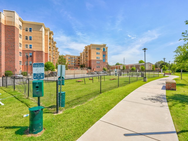 Image of Bark Park for Millennium Norman