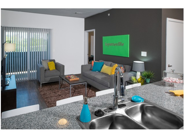 Granite Countertops | Modern Kitchen | The Cardinal at West Center | Apartments near University Of Arkansas