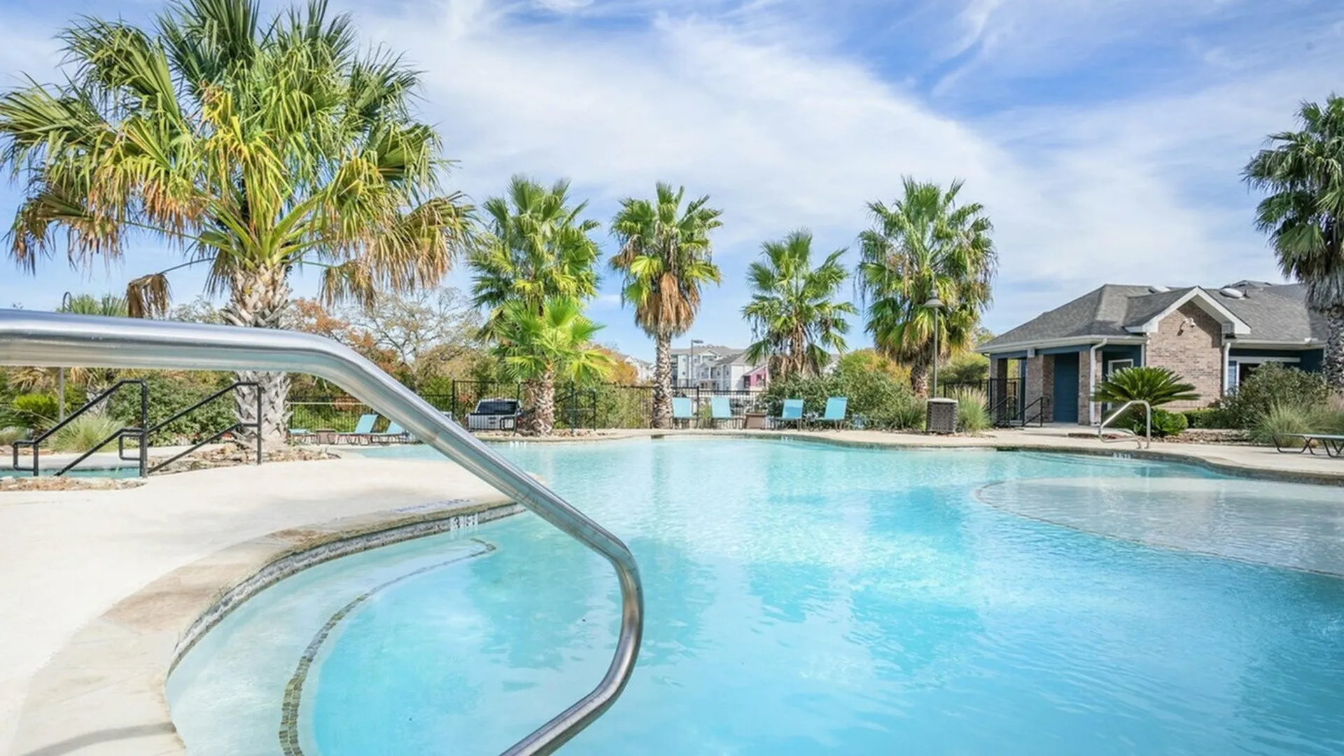Pool area palm trees
