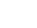 VERVE STL