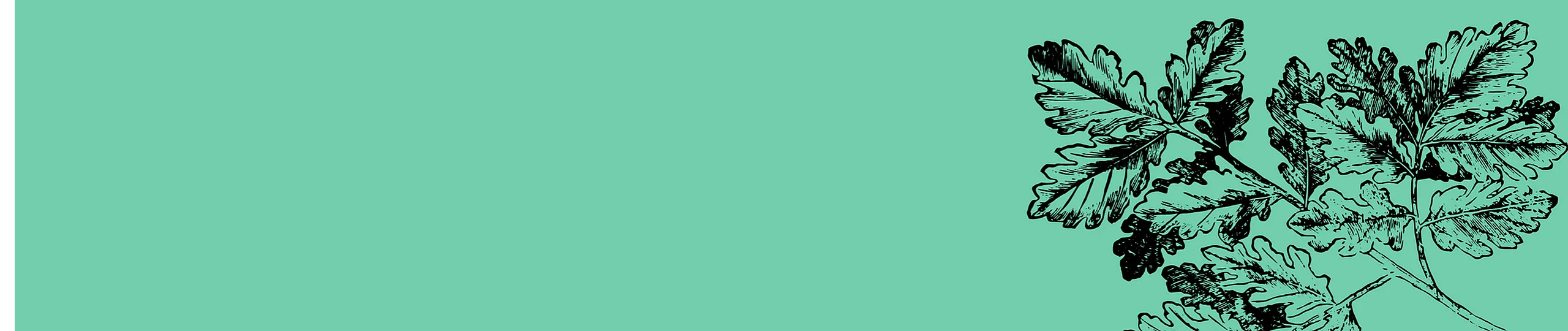 Elegant illustration of a leafy branch on a vibrant teal background, perfect for modern and minimalist decor.