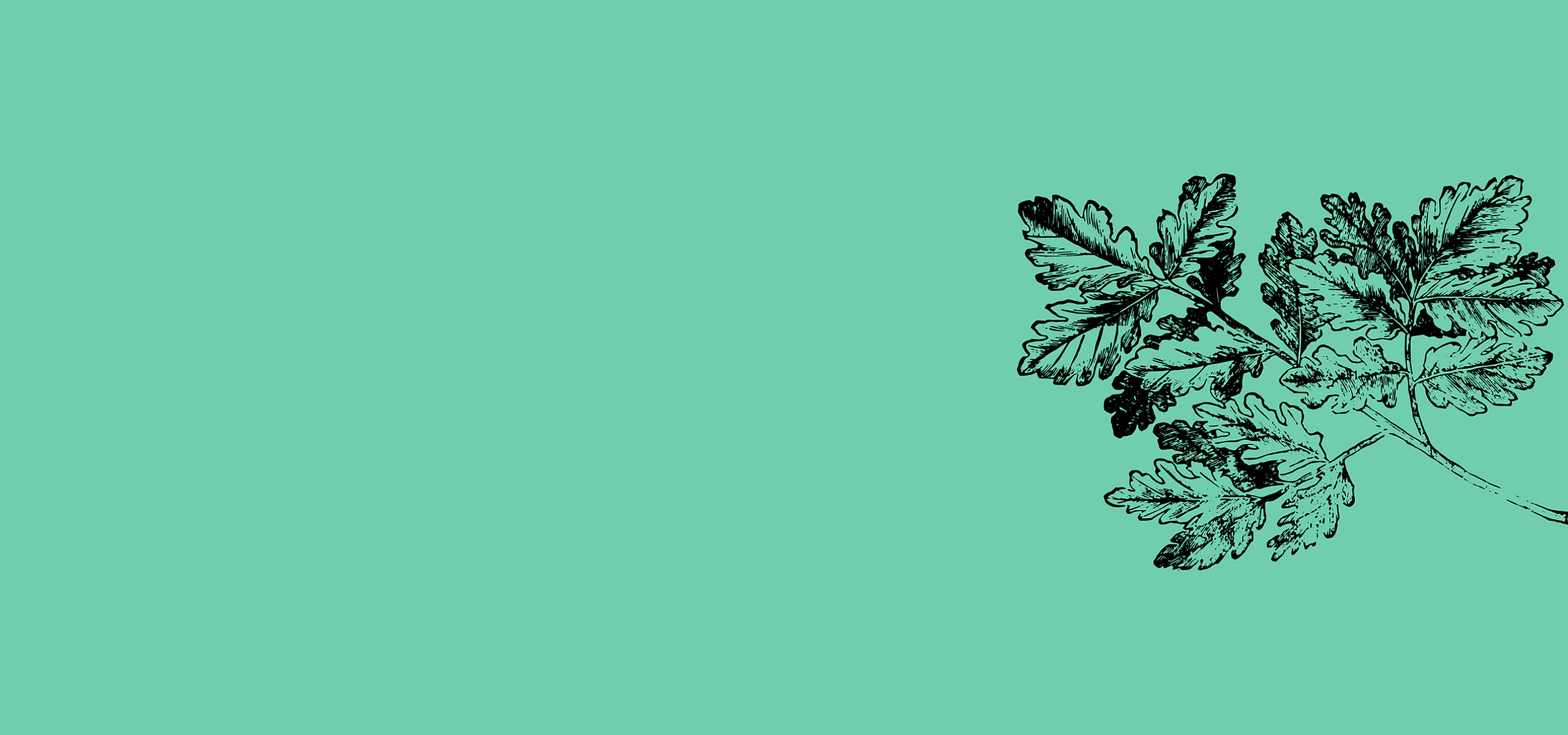 Artistic illustration of parsley leaves sketched on a vibrant green background, ideal for fresh culinary inspiration.
