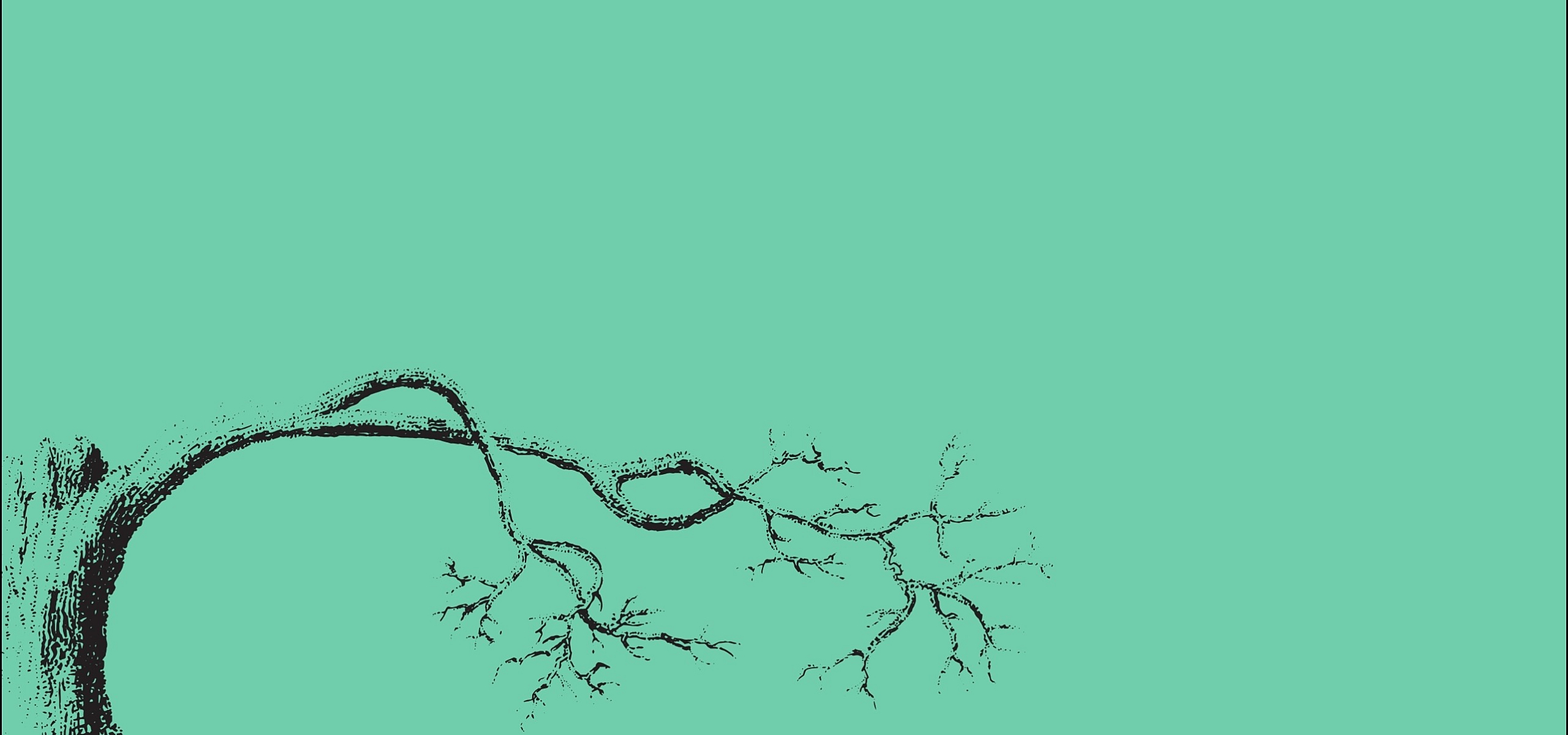 Minimalistic black tree branch design on a bright mint background, evoking a sense of nature and simplicity.