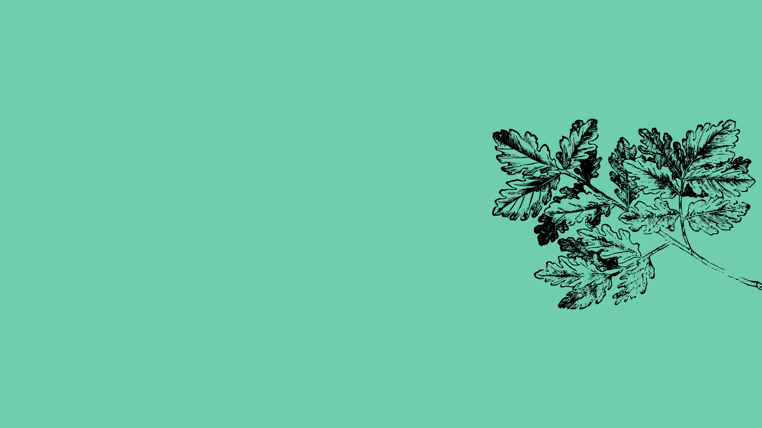 Elegant green background with an intricate parsley leaf design on the right, offering a touch of nature-inspired sophistication.