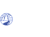 Modern Chapter Ann Arbor logo featuring stylized trees and a pathway, symbolizing community and growth.