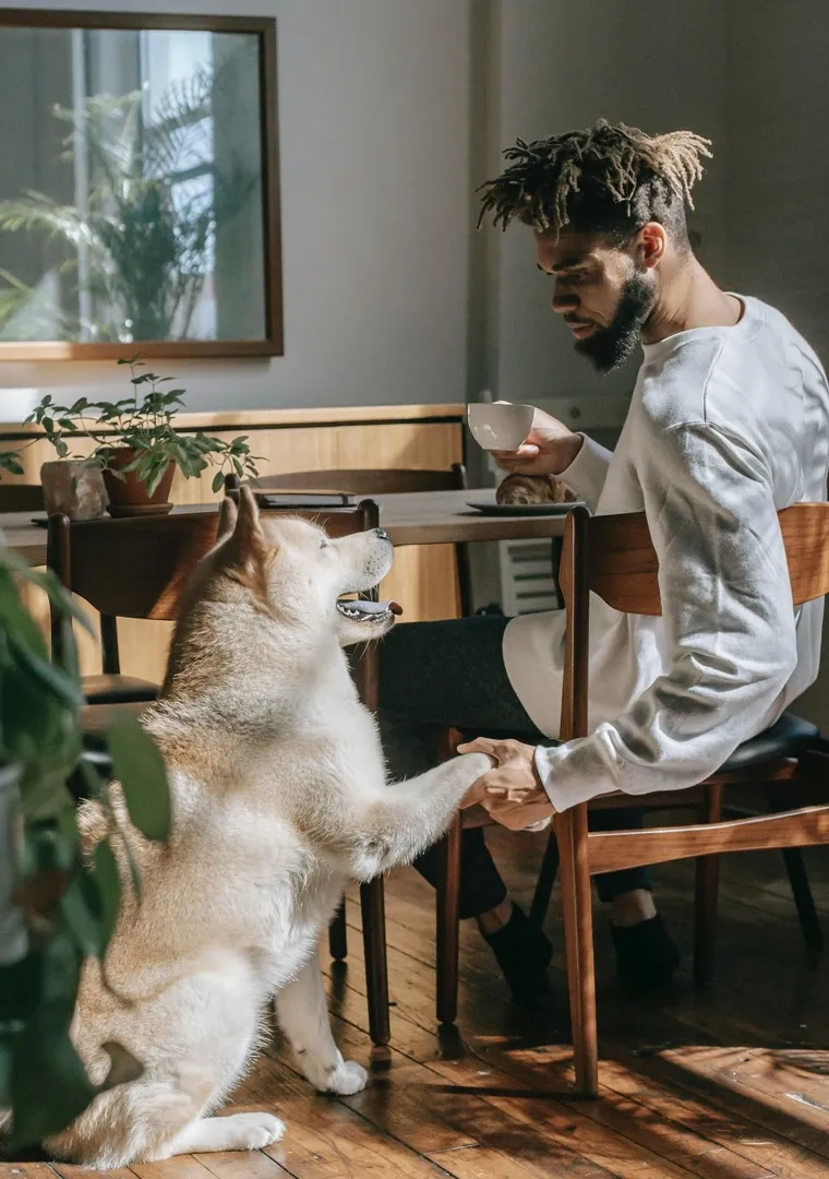 Man shaking dogs paw