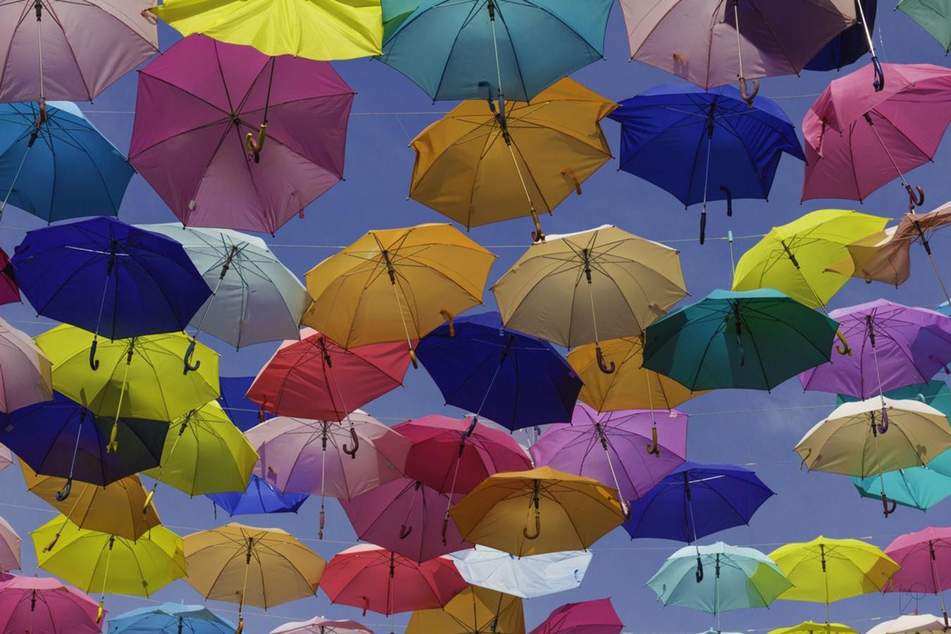Three Quick Tips for Protecting Association Board Directors and Officers-image