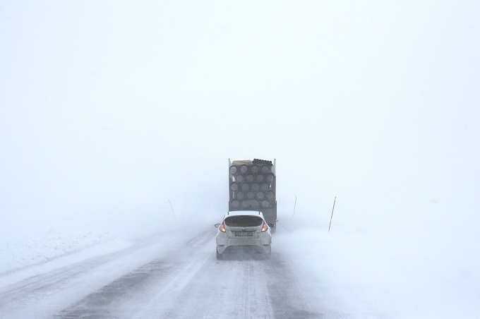 Surviving Winter Storms-image