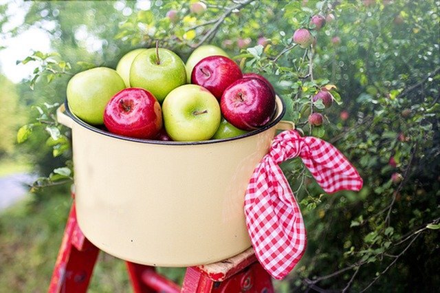 Eight Things to Do This Fall!-image