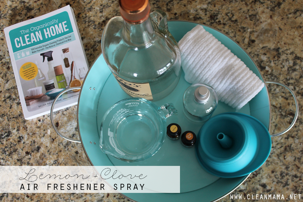 3 Natural Odor Eliminators-image