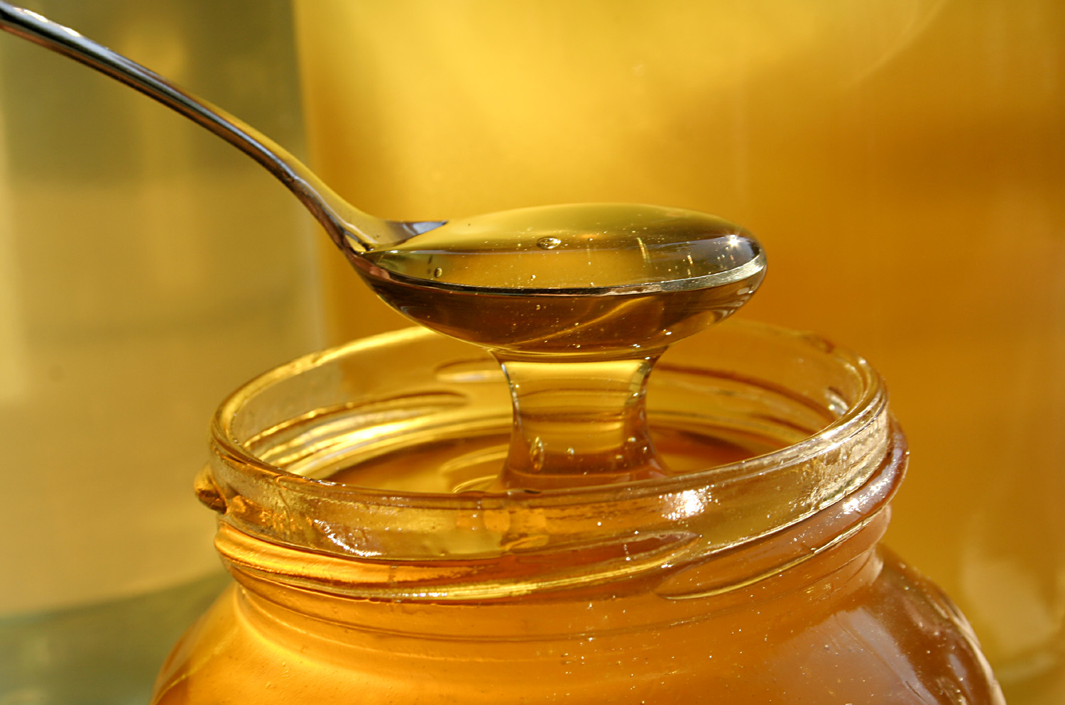 Benefits of Honey Water-image