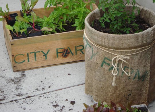 How to Start a Container Garden-image