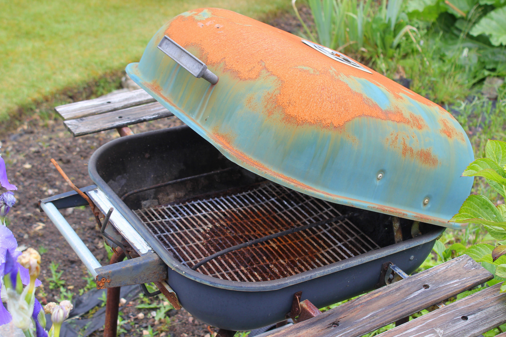 Summer Cleaning-image
