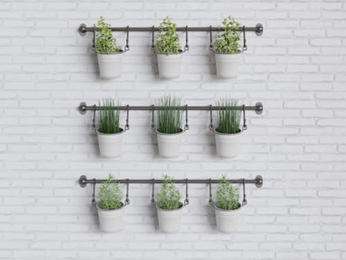 ​Small Space Gardening: Bringing Greenery to Your Apartment-image