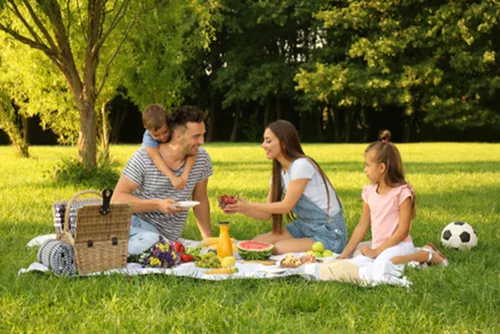 ​Essential Items for a Summer Picnic: Your Perfect Checklist-image