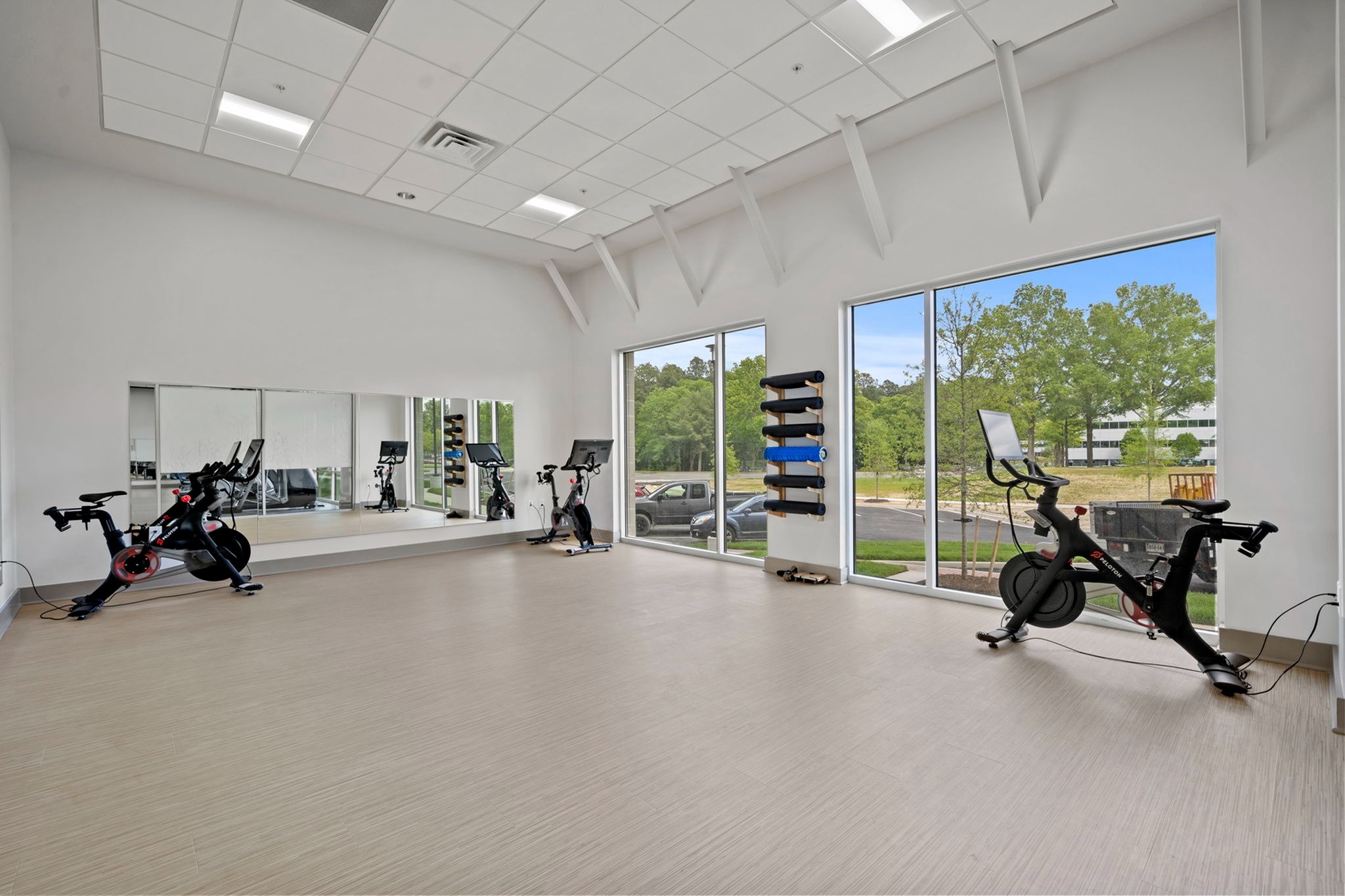 Yoga/Peloton Room