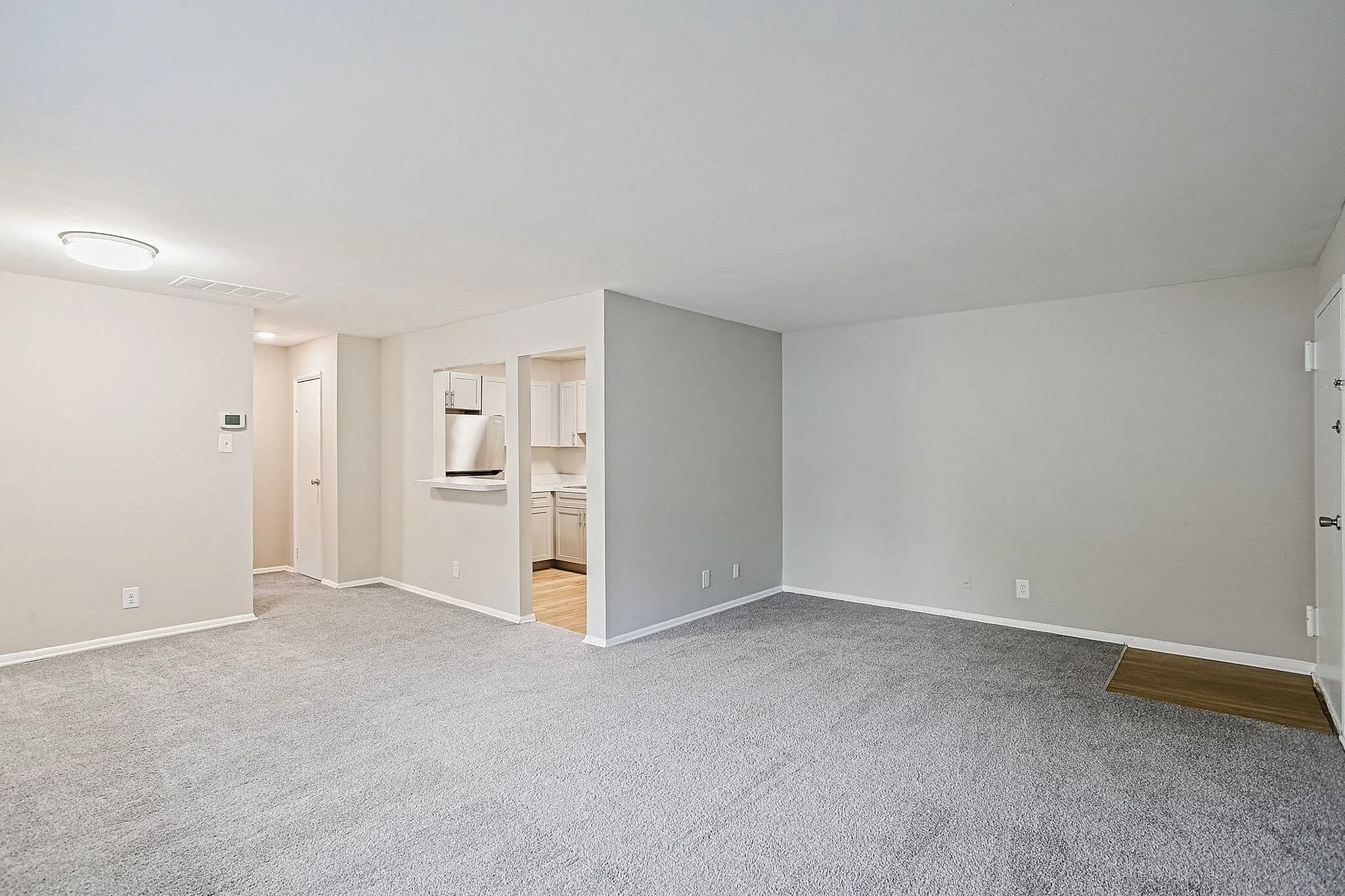 Spacious and bright living room with plush carpeting, open kitchen view, and modern lighting in a welcoming apartment.