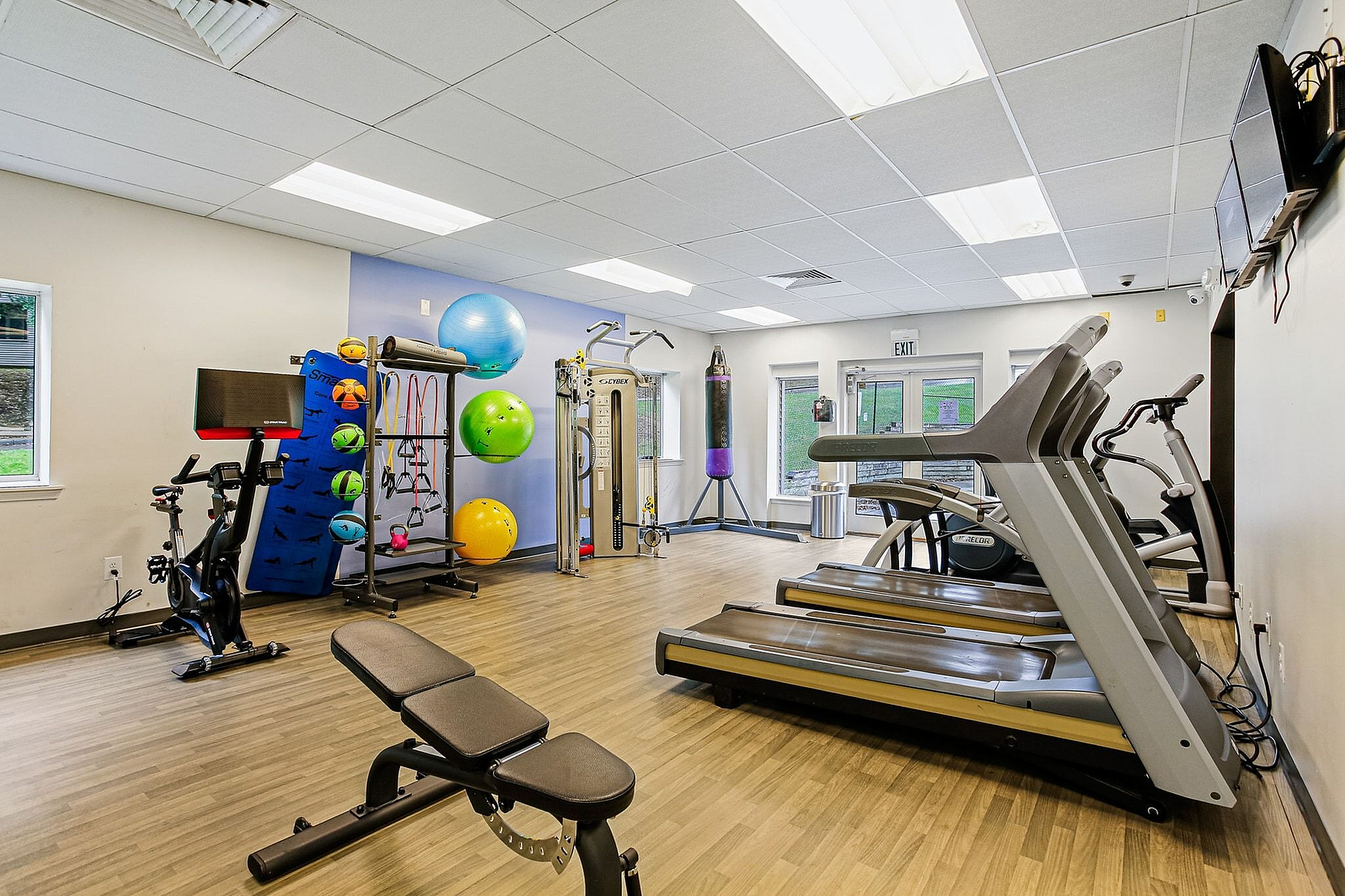Inviting fitness center with modern treadmills, colorful exercise balls, and versatile workout equipment for a healthy lifestyle.