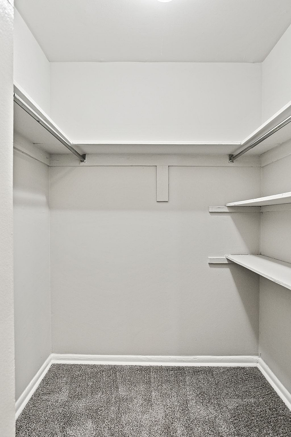 Spacious walk-in closet with sleek shelving and soft carpet flooring, ideal for organized living.