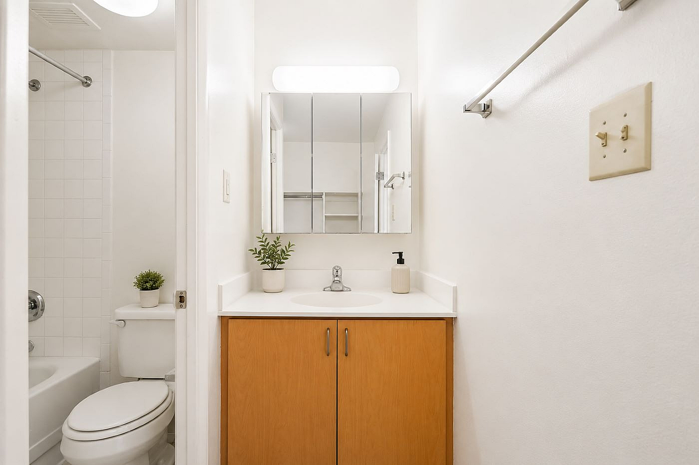 Bright and modern bathroom showcasing a sleek vanity with wooden cabinets, accented by a potted plant and minimalist decor.
