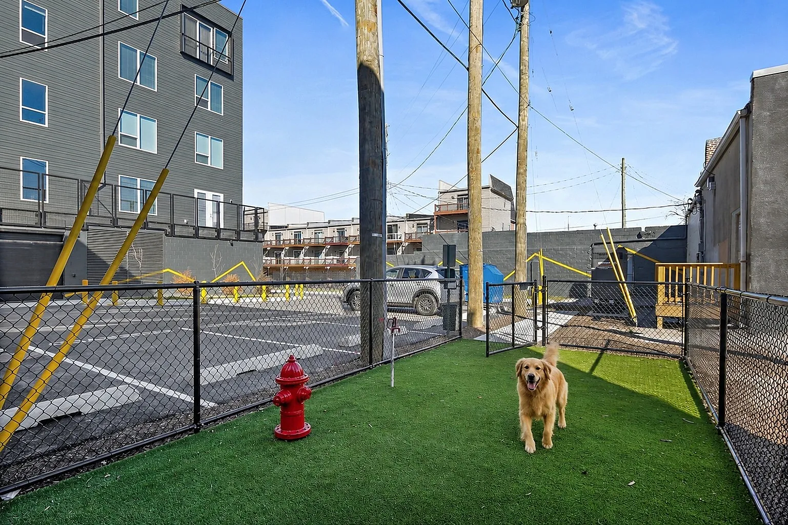 Pet-friendly outdoor space with vibrant artificial grass, secure fencing, and a happy dog enjoying the area, perfect for urban living.