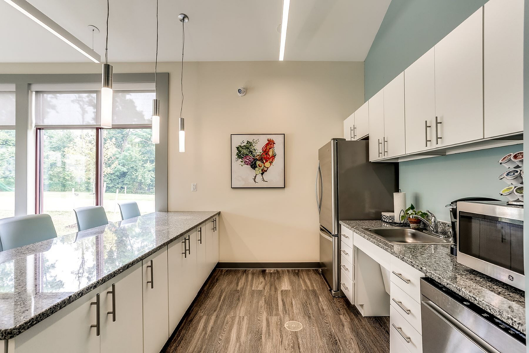 Modern kitchen with sleek granite countertops, stainless steel appliances, and a striking rooster painting, bathed in natural light from large windows.