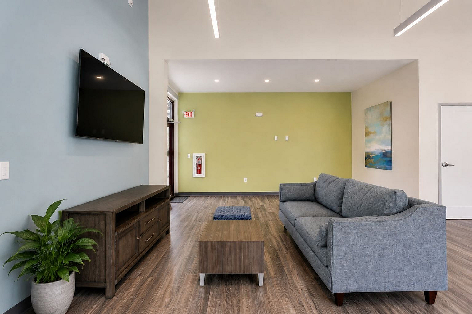 Modern living room with stylish grey sofa, mounted flat-screen TV, vibrant accent wall, and elegant wooden flooring.