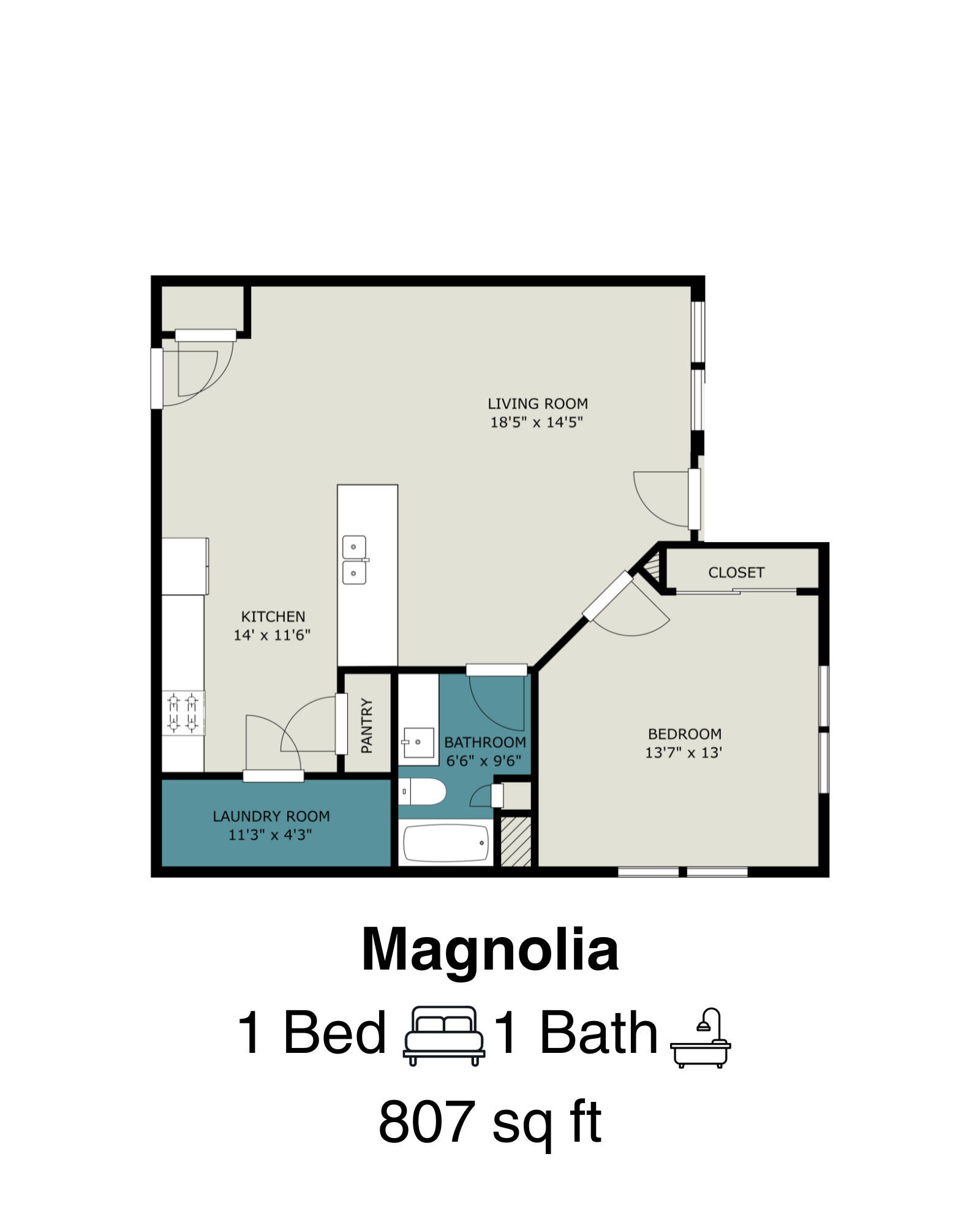 Magnolia floor plan showcasing a spacious 1-bedroom, 1-bathroom apartment with a generous living room and well-appointed kitchen, spread over 807 sq ft.